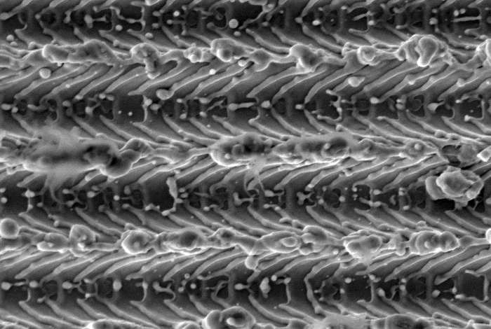 Laser-Lok microchannels